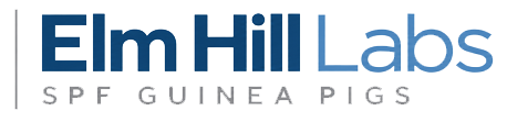 Elm Hill Labs